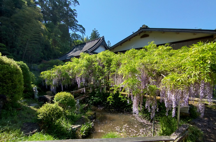 �������@����100�N�̑員