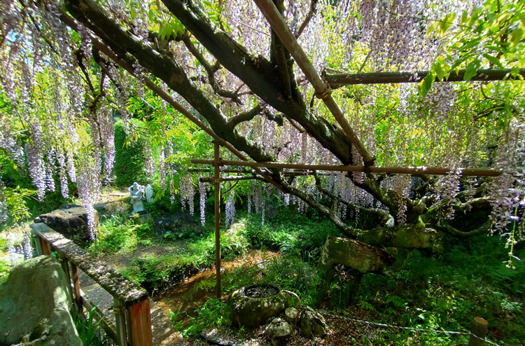 ����100�N�̑員