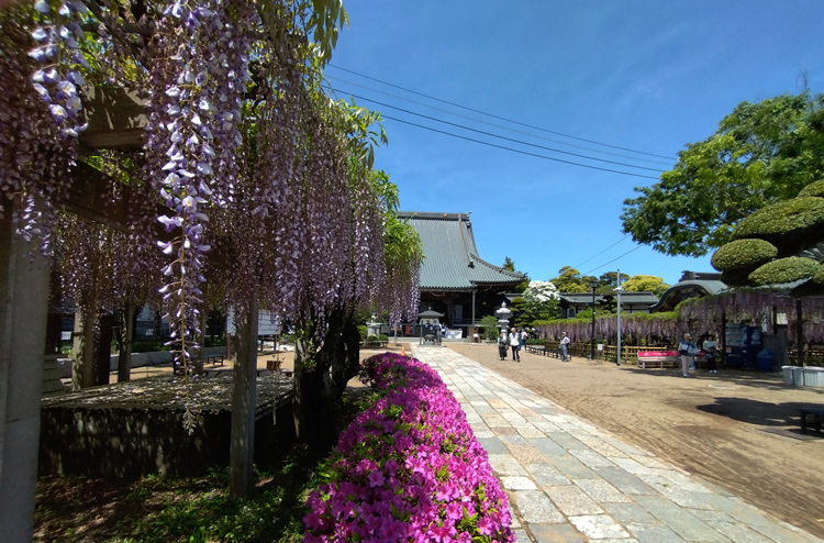 �������@