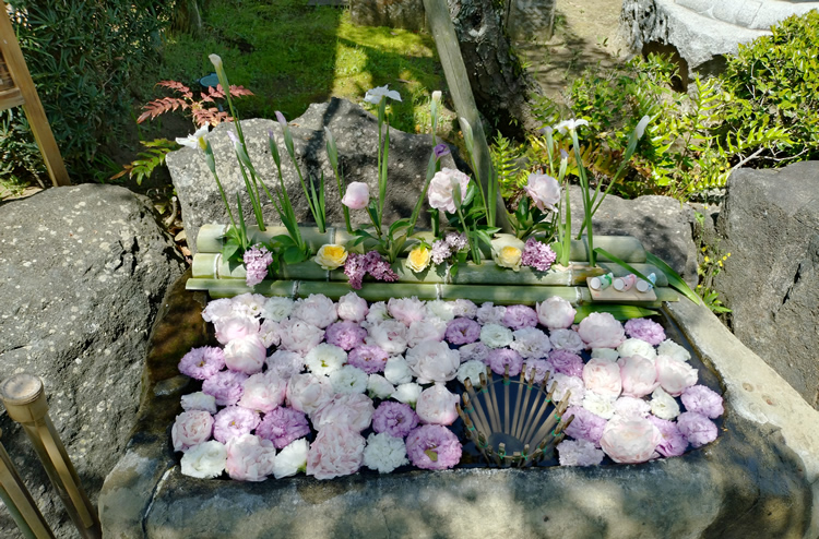 �Ԏ萅�i�͂Ȃ��傤���j