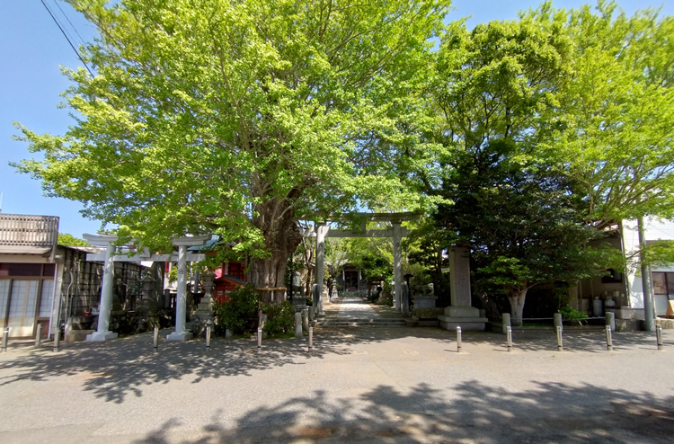 ���`�_�Ёi���傤�������񂶂�j