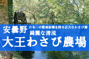 ���ܖ�@�剤�킳�є_��