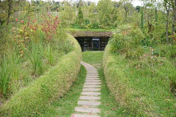 �n���}����