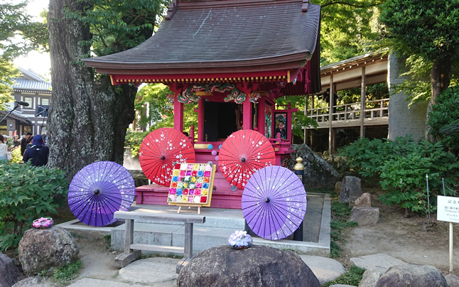�S�q��_��