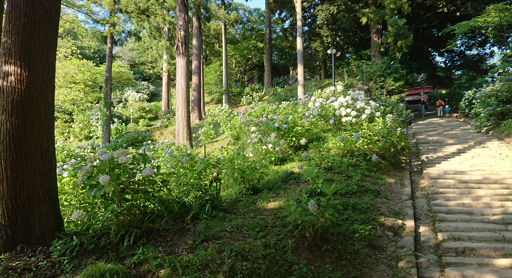 �J�����ω��@��������