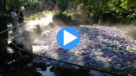 �J�����ω��@������