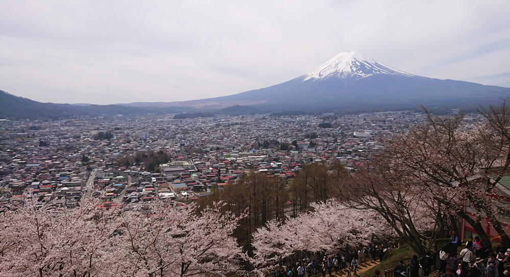 �V�q�R���猩��x�m�R