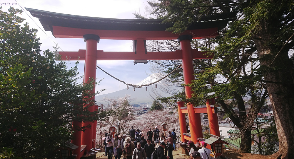 �咹���ƕx�m�R