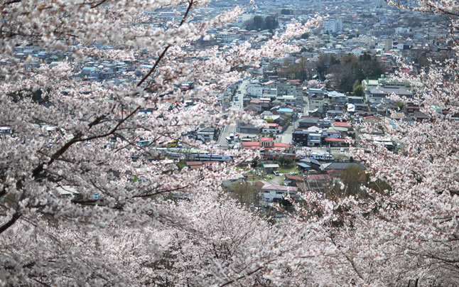 �V�q�R�������猩��JR�x�m��V