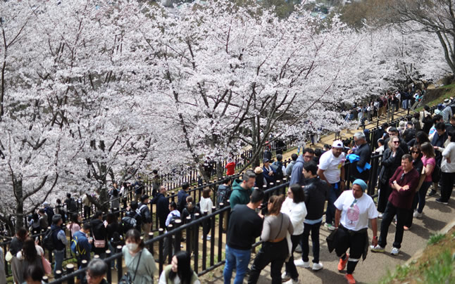 9���O���l