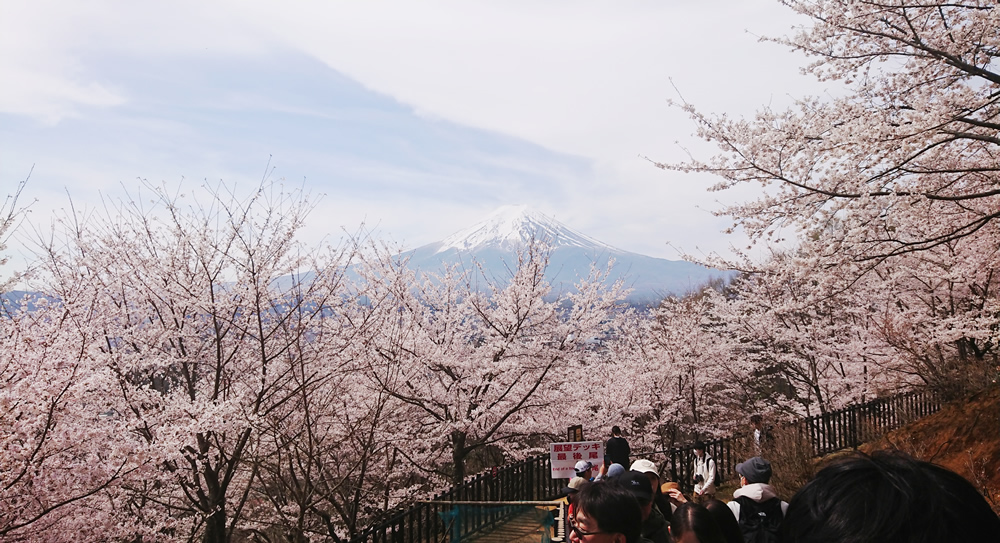 ���̓��勴