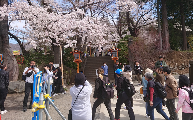 �V�q�R��Ԍ�������