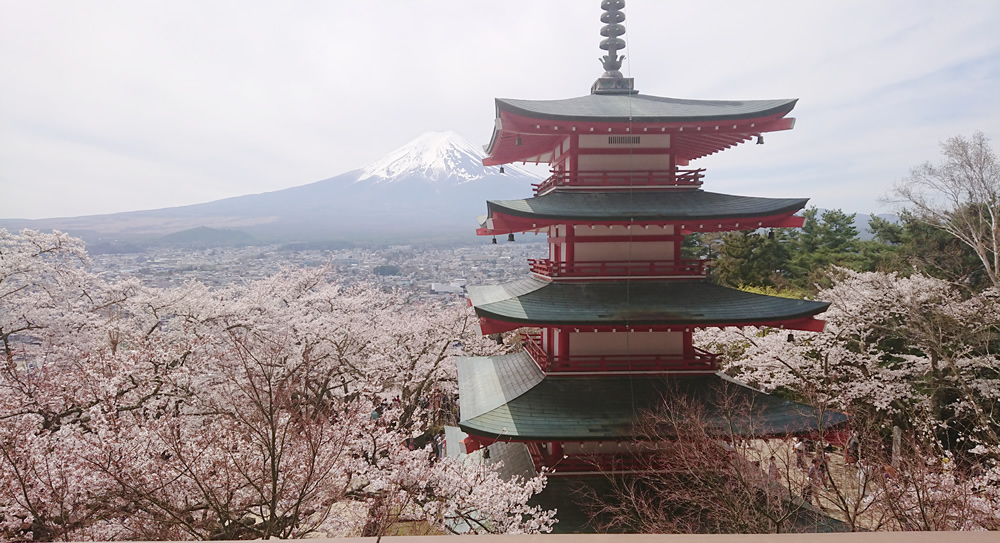 �V�q�R��Ԍ���