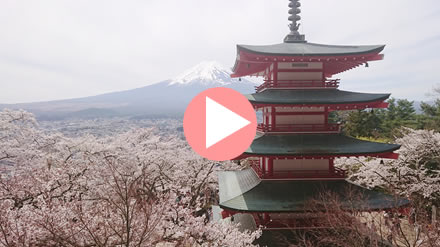 �V�q�R��Ԍ���