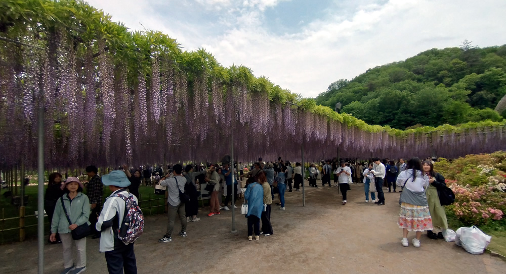 ���E�I�ɕ]��