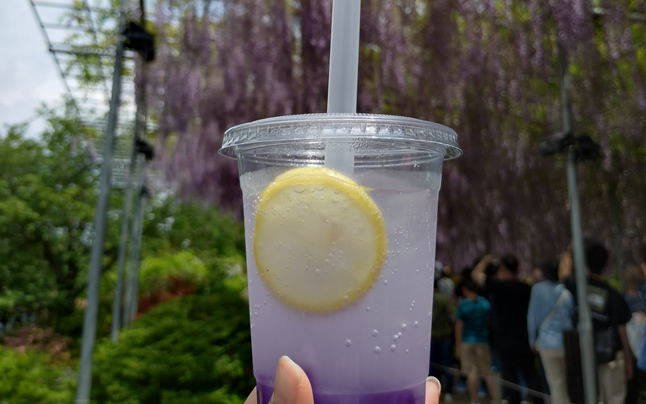 �͂��݂䂸���T�C�_�[