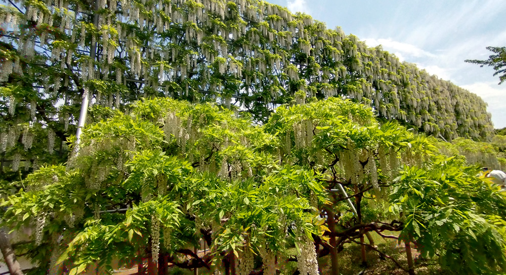 �C���X�^�f���X�|�b�g