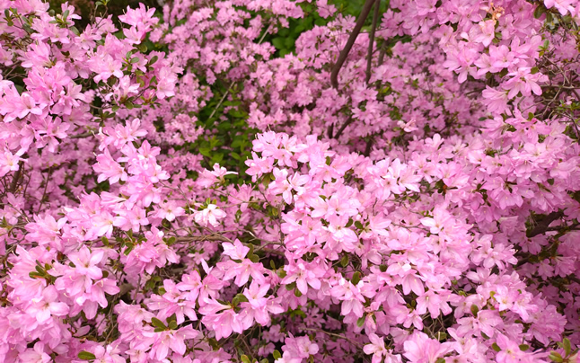 �~�c�o�c�c�W