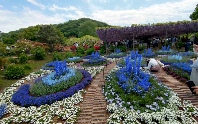 �f���t�B�j�E��