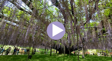 ���������員