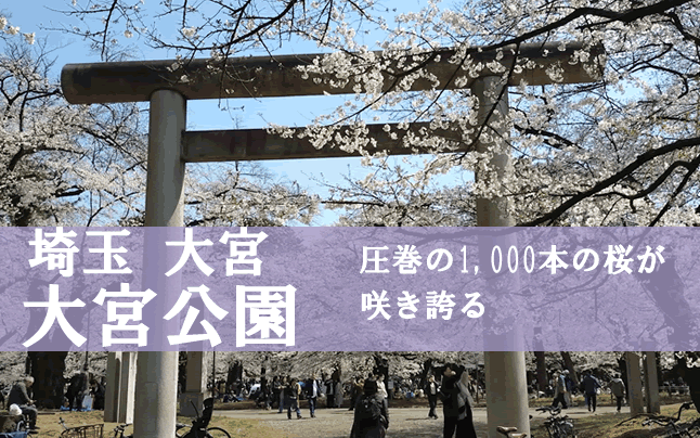 ��{������