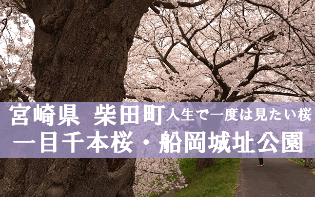 ���ΐ���{��