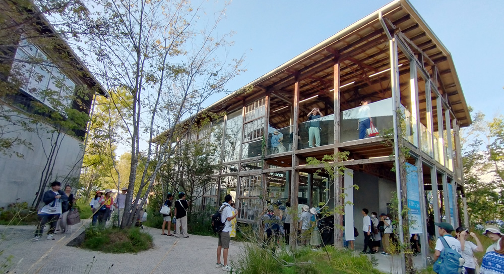 ���̂��̂������V�O�l�`���[�p�r���I��