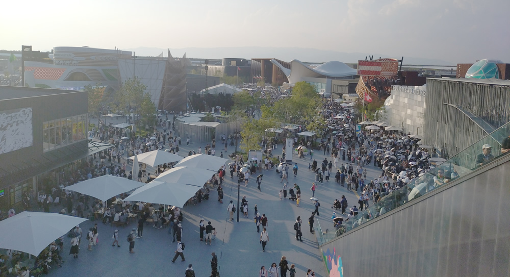 �剮�������O���猩��e���̃p�r���I���{��