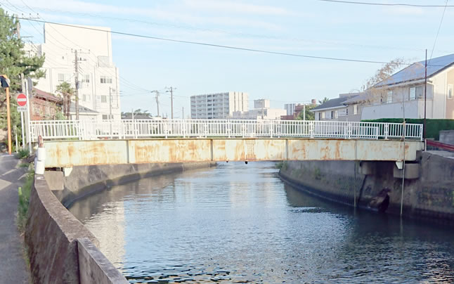 ����(�݂ǂ�͂�)