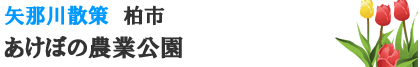 あけぼの農業公園