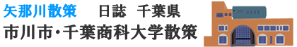 千葉県市川市国府台千葉商科大学
