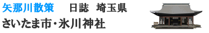 大宮市　氷川神社
