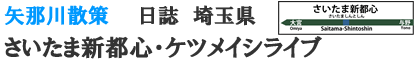 埼玉スーパーアリアナ　ケツメイシ