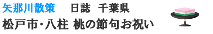 千葉県松戸市　八柱桃の節句