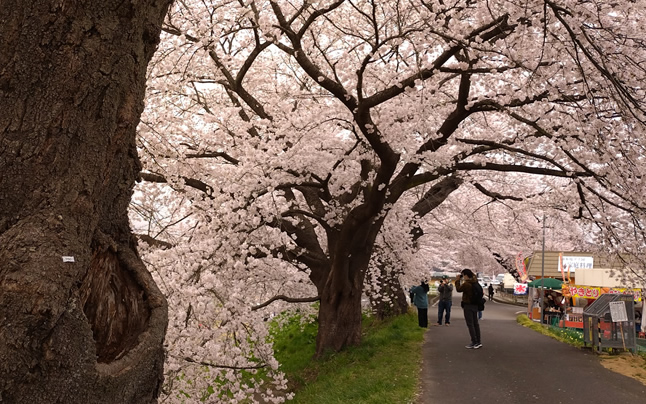 �����疼��100�I�@���Β��{���@�D���隬�����@��