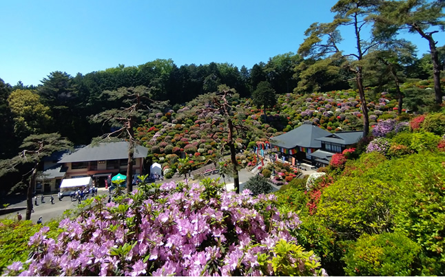 ���D�ω����@��