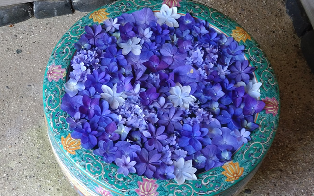 ����b�ώR��