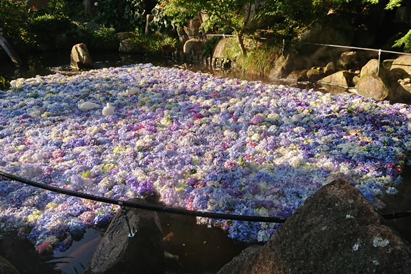 ����s�@�J���ω��@�������������؁@��i