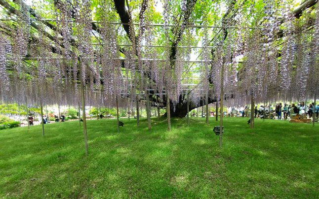 ���D�ω����@��