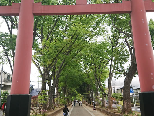 2024�N4��21���@�P�c���C�V���C�u