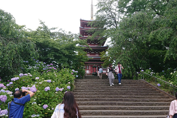 2024�N6��10���@�{�y��