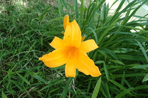 2024�N5��26���@�j�b�R�E�L�X�Q