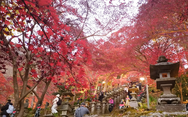 �ɐ����@��R�@�g�t