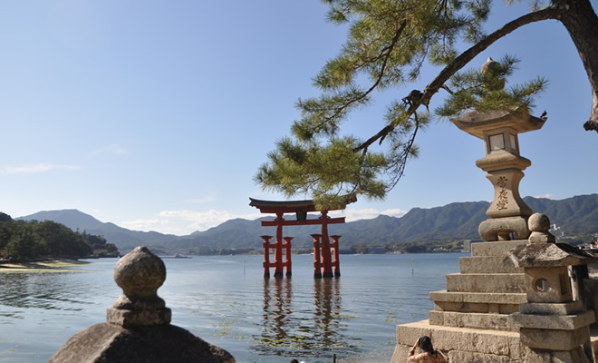 ���|�̋{���@�����_��