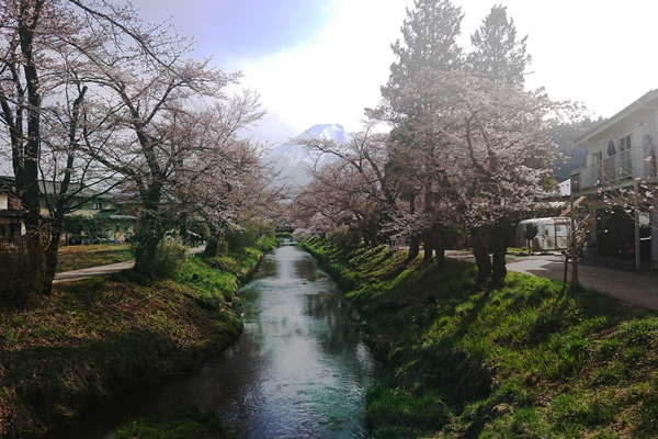 2024�N4��13���@�V�q�R�����@��