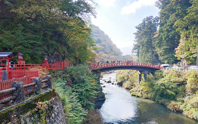 �����Ў�