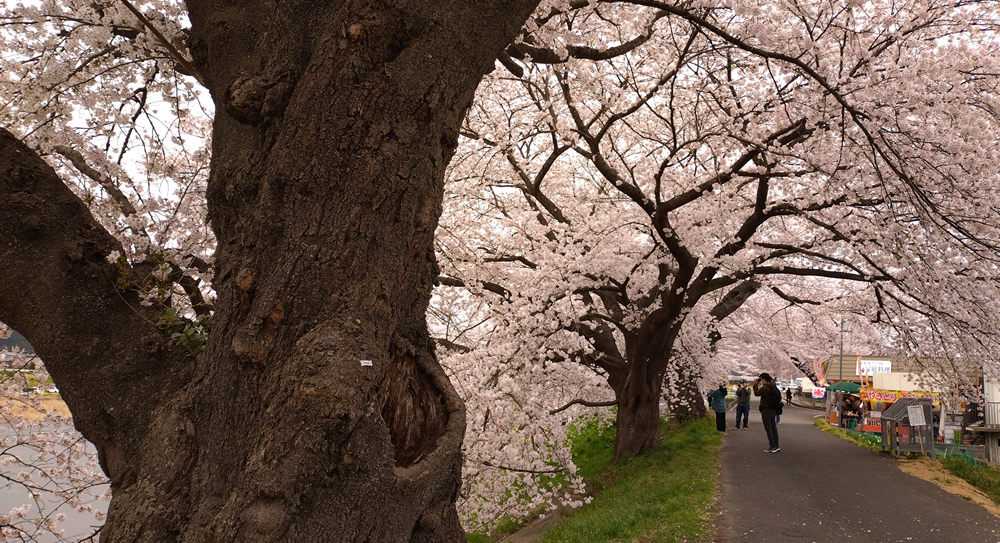 �����@���̃g���l��