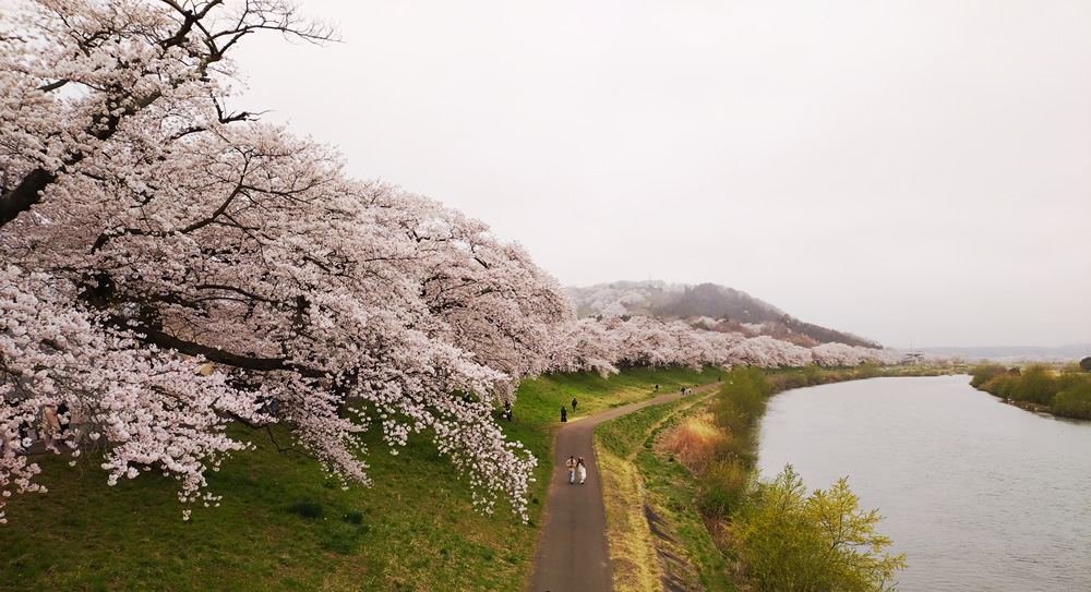 ���������������̒���