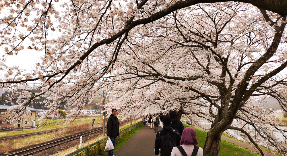 �O���l�ό��q����