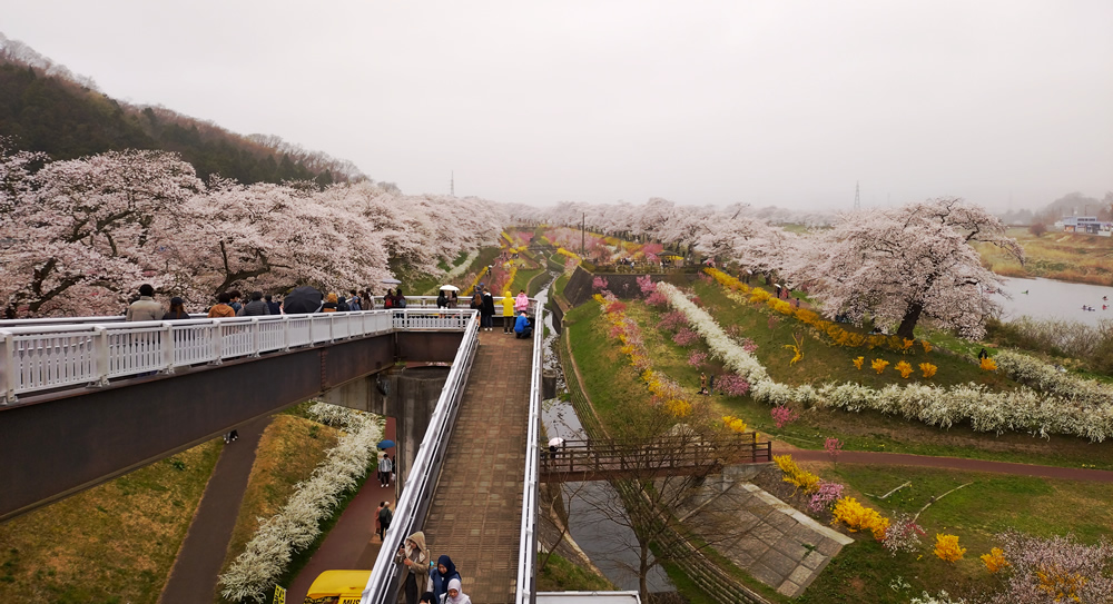 ���ΐ�������